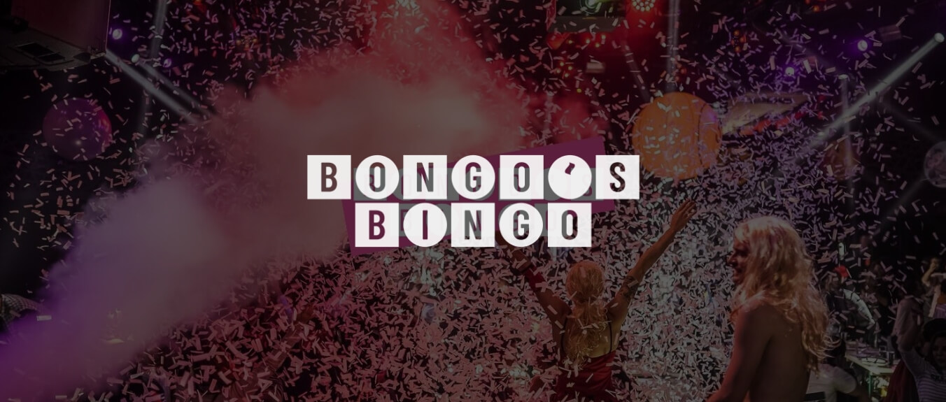 bongo-bingo-banner